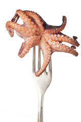 Oktopus auf einer Gabel © Bernd Jürgens
