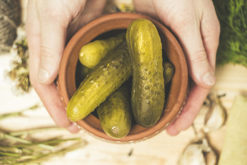 Sour salted cucumbers in hands. Canned vegetables.