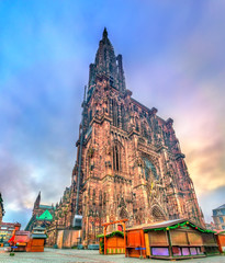 The Notre-Dame Cathedral of Strasbourg, France - obrazy, fototapety, plakaty