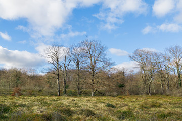 Nacimiento del río Nervión, cascada en el Monte Santiago, y alrededores