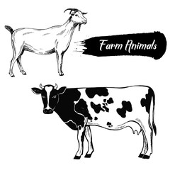 Hand drawn sketch style goat and cow. Vector illustration isolated on white background.
