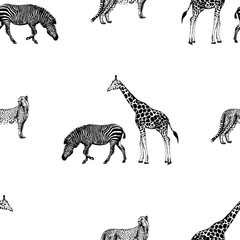 Seamless pattern of hand drawn sketch style giraffe, zebra and cheetah. Vector illustration isolated on white background.