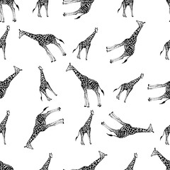 Seamless pattern of hand drawn sketch style giraffes. Vector illustration isolated on white background.