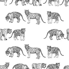 Fototapeta na wymiar Seamless pattern of hand drawn sketch style tigers. Vector illustration isolated on white background.
