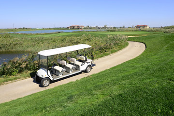 Golf cart in a golf course