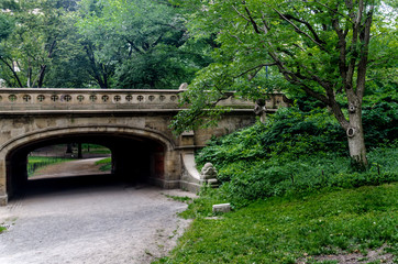 Centeral park at Manhattan