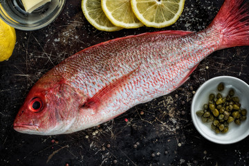 Red Snapper