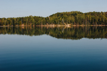 Forest lake landscape