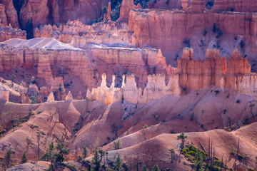 Colorful Bryce Canyon close-up
