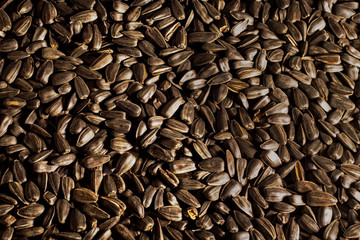 roasted sunflower seeds in bulk