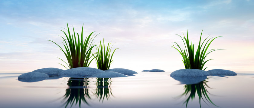 Steine mit Gras im See 2