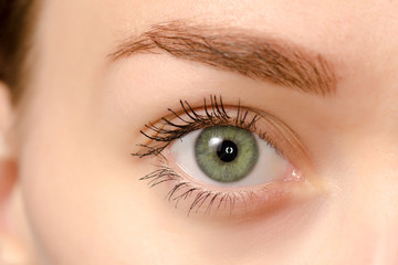 Eye female green macro