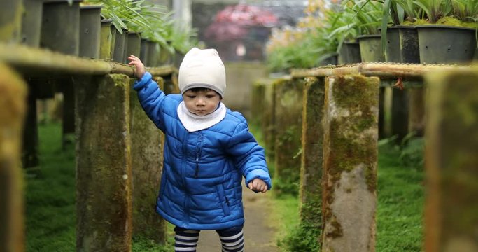 cute baby toddler walking in farm agriculture
