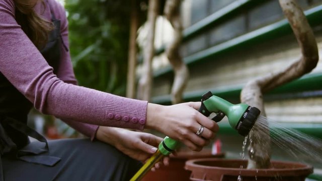 Closeup view of young attractive female gardener in uniform watering trees with garden hose in greenhouse. Slowmotion shot