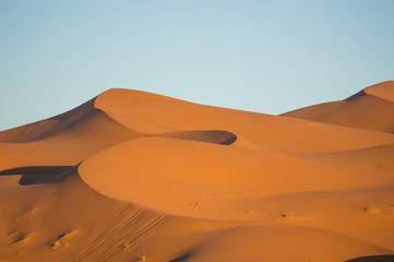 広大なサハラ砂漠