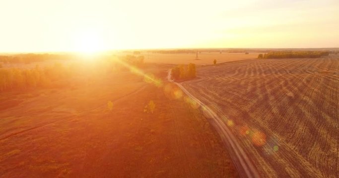UHD 4K aerial view. Mid-air flight over rural dirt road with car. Yellow rural field at sunny autumn evening. Green trees on horizon. Horizontal movement.