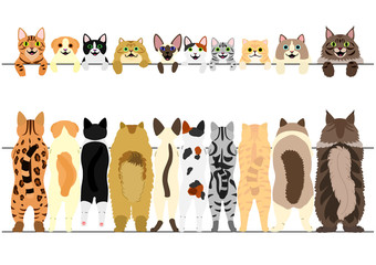standing cats front and back border set
