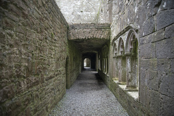 Fototapeta na wymiar a celtic castle