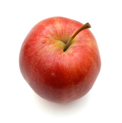 Red ripe apple