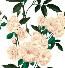 rose seamless pattern2