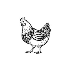 Vector hand drawn Chicken head outline doodle icon. Chicken head sketch illustration for print, web, mobile and infographics isolated on white background.