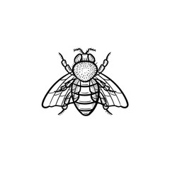 Vector hand drawn fly outline doodle icon. Fly sketch illustration for print, web, mobile and infographics isolated on white background.