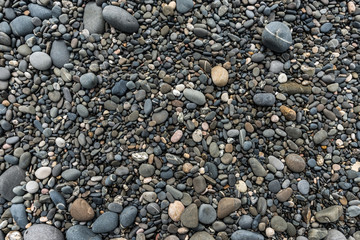 Sea coast, pebbles on shore