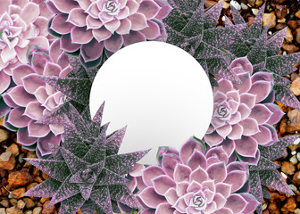beautiful Fresh and real Tropical Ultraviolet filter color leaves  with white  paper empty space label for Text and  Design