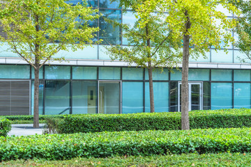 modern office building and green outdoor