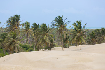 Landscapes of Piaui
