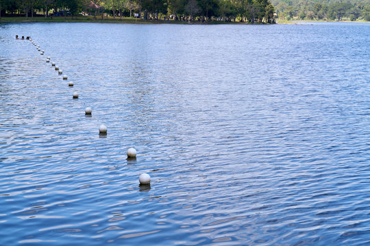 White buoys separating the shallow water depth.
