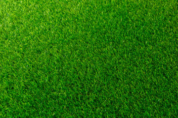 Obraz premium Grass green and nature of background textures