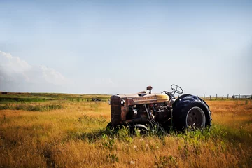 Poster Een oude vintage rode verroeste tractor die in een omheind weiland zit in een agrarisch landelijk zomerlandschap © kat7213