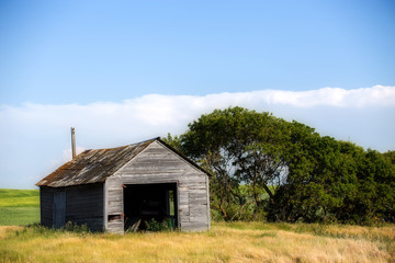 A small square weathered wooden storage shed beside with a field of green crop in the background in a rural summer landscape