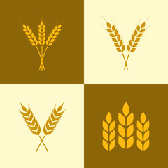Wheat ears icon set. Barley or grain signs. Vector illustration.