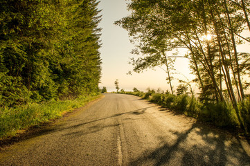 Obraz premium Road in the Oregon Countryside