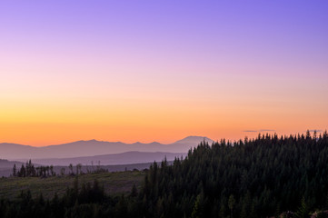 Naklejka na ściany i meble Sunset over the Oregon Pine Forests