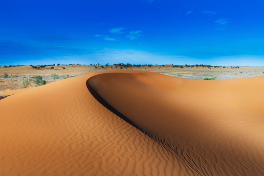 Outback Sand Dune
