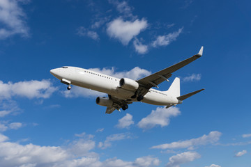 Boeing 737-800 landing - obrazy, fototapety, plakaty