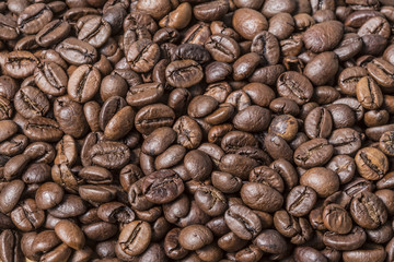 Many roast brown coffee grains texture close up on an abstract background