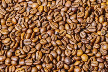 Many roast brown coffee grains texture close up on an abstract background