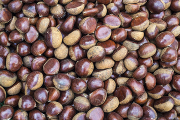 Fresh ripe chestnuts 