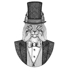 Lynx, Bobcat, Trot, Wild cat. Animal wearing jacket with bow-tie and silk hat, beaver hat, cylinder top hat. Elegant vintage animal. Image for tattoo, t-shirt, emblem, badge, logo, patch