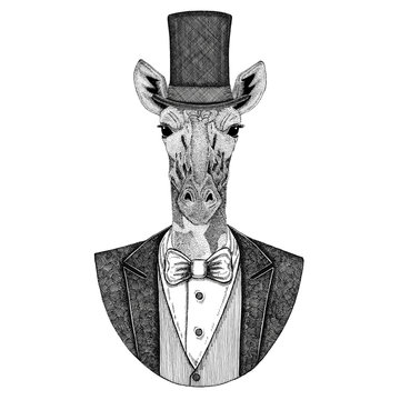 Camelopard, giraffe. Animal wearing jacket with bow-tie and silk hat, beaver hat, cylinder top hat. Elegant vintage animal. Image for tattoo, t-shirt, emblem, badge, logo, patch