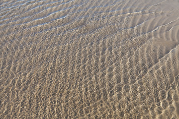 Clear and clean Baltic sea water.