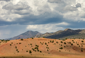 Fototapeta na wymiar Dry Desert Land of USA
