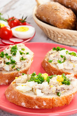 Slice of baguette with fish paste, egg, tomato, radish and fresh rolls