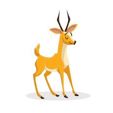 Cartoon trendy design african antelope. Wildlife and zoo vector illustration. Cheerful gazelle.
