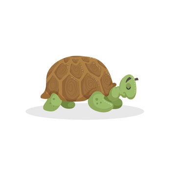 Cartoon trendy design african turtle. Sleeping jungle tropical animal. Wildlife and zoo vector education vector icon for kids.