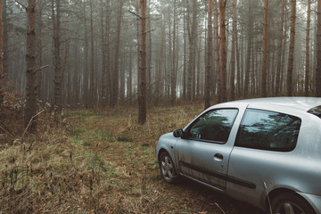 Obraz na płótnie Canvas Car in forest. Adventure in nature.